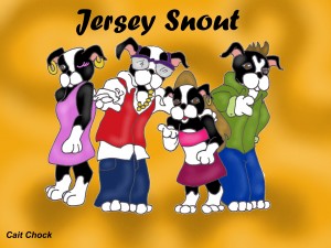 boston terrier dogs